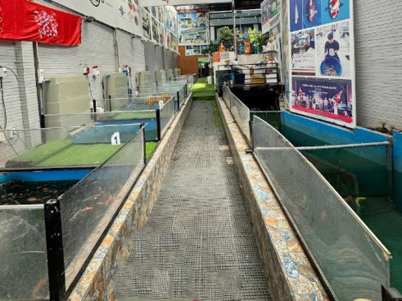 Nhà MT giá trong hẻm 261m², Nở hậu, Đ.10m – An Phú Đông Q12 - Ảnh 1